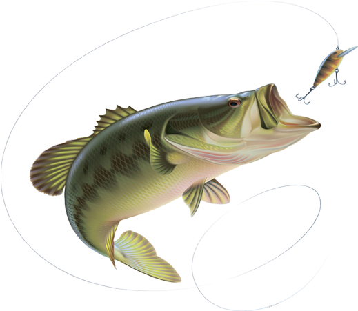 Hero Fishing Tackle Store - Fishing Pliers Hemostat Locking Stainless Steel Locking (1140x500)