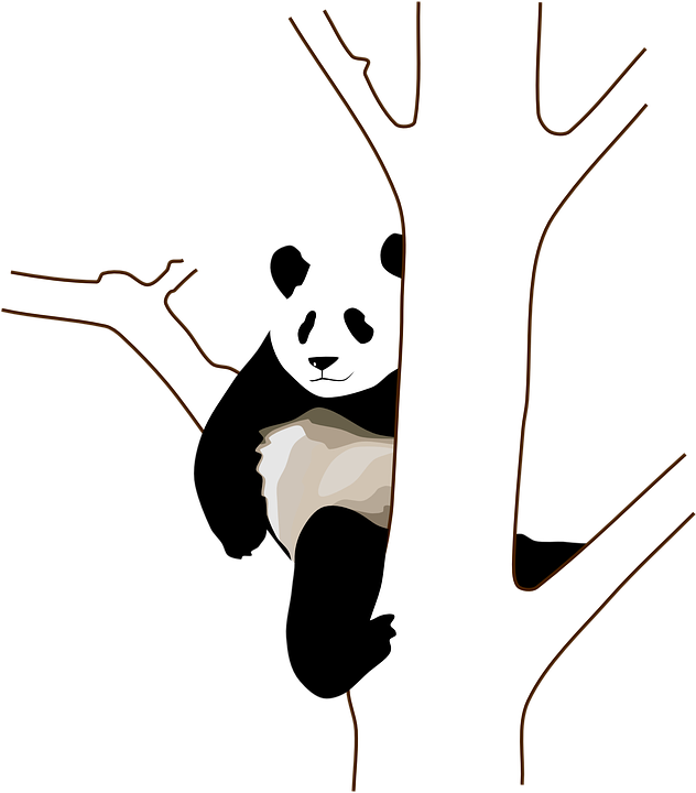 Free Vector Graphic - Panda Clip Art (632x720)