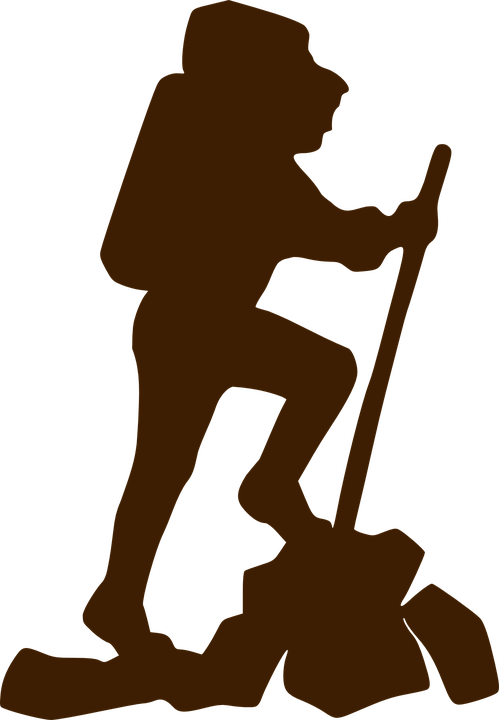 Tree Climber Cliparts 4, Buy Clip Art - Hiker Clip Art (499x720)