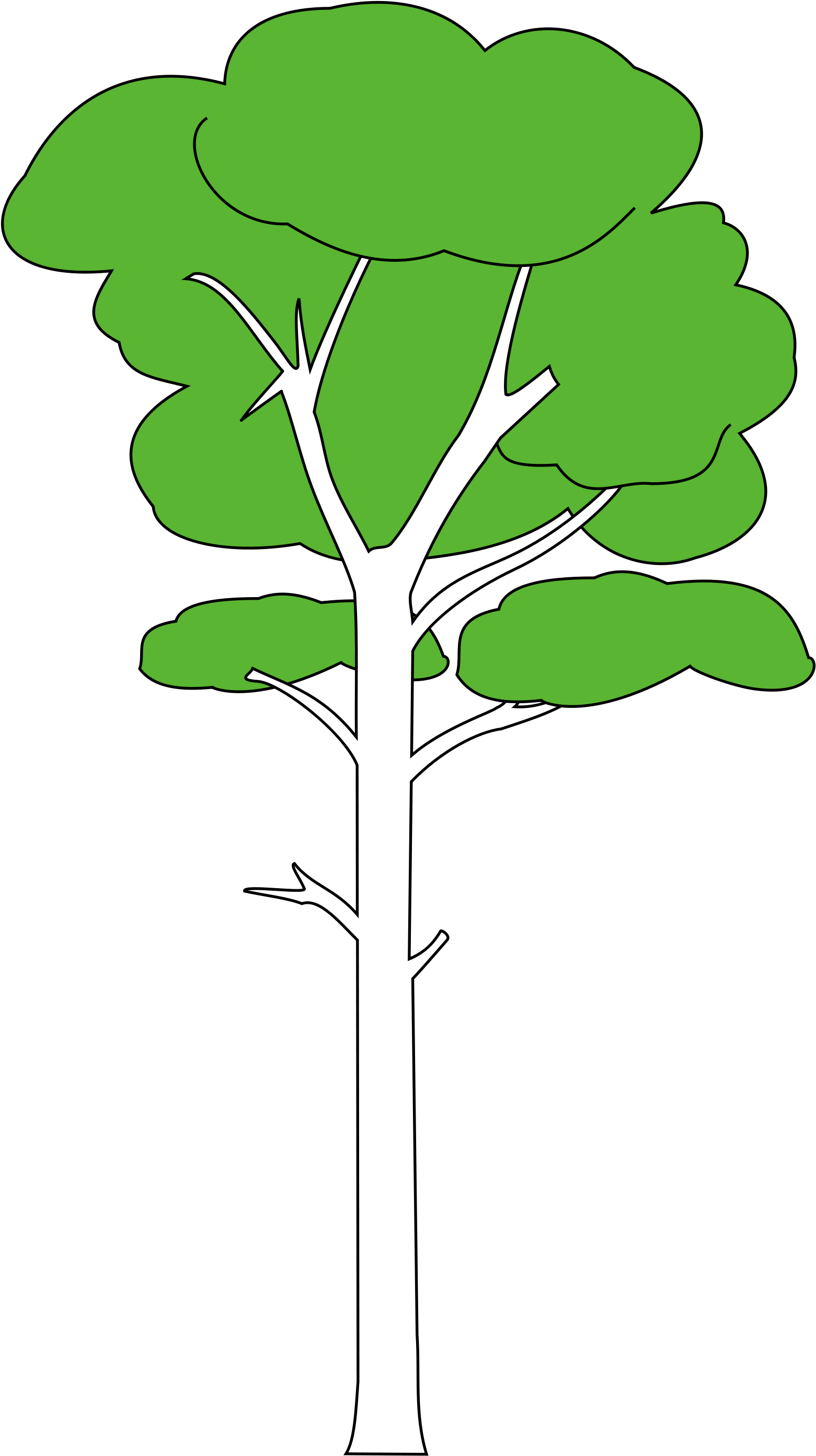 January Tree Cliparts - Clip Art Tall Tree (2000x2828)