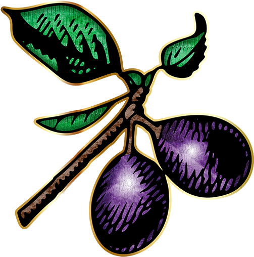 Plums 72-512x512 - Plum (512x512)