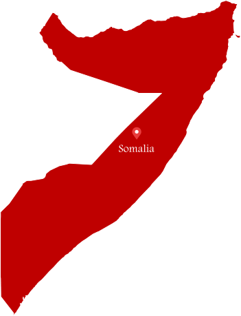 More Than 50,000 Students Are Attending Some 50 Universities - Somalia Flag Map (351x459)