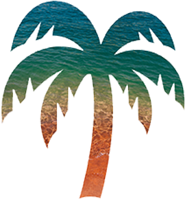 Palm Tree Logo Images - Palm Tree Logo Clothing (500x500)