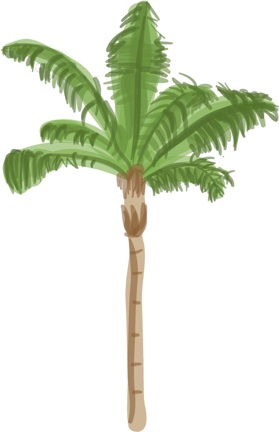 Canary Island Date Palm - Palm Tree (605x884)