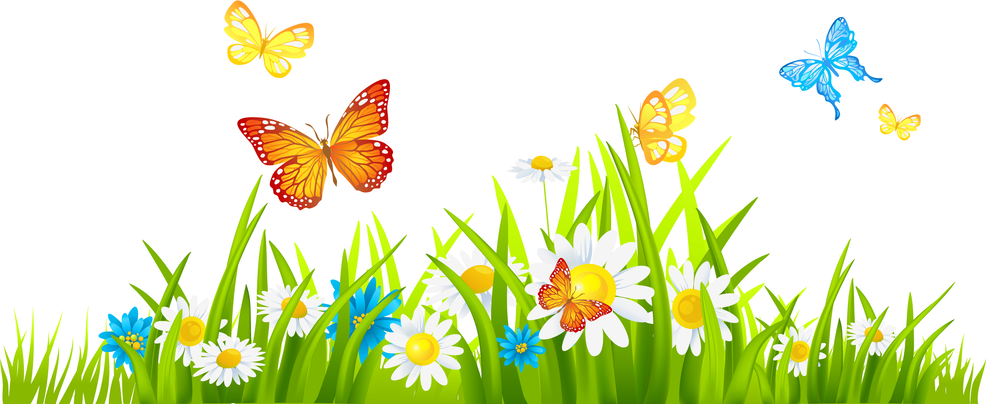 Grass Ground With Flowers And Butterflies Png Clipart - Spring Flower Border Clipart (3400x1463)