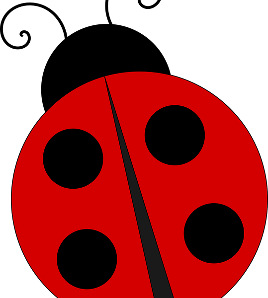 Download Charming Ideas Ladybug Clip Art Free - Download Charming Ideas Ladybug Clip Art Free (539x600)