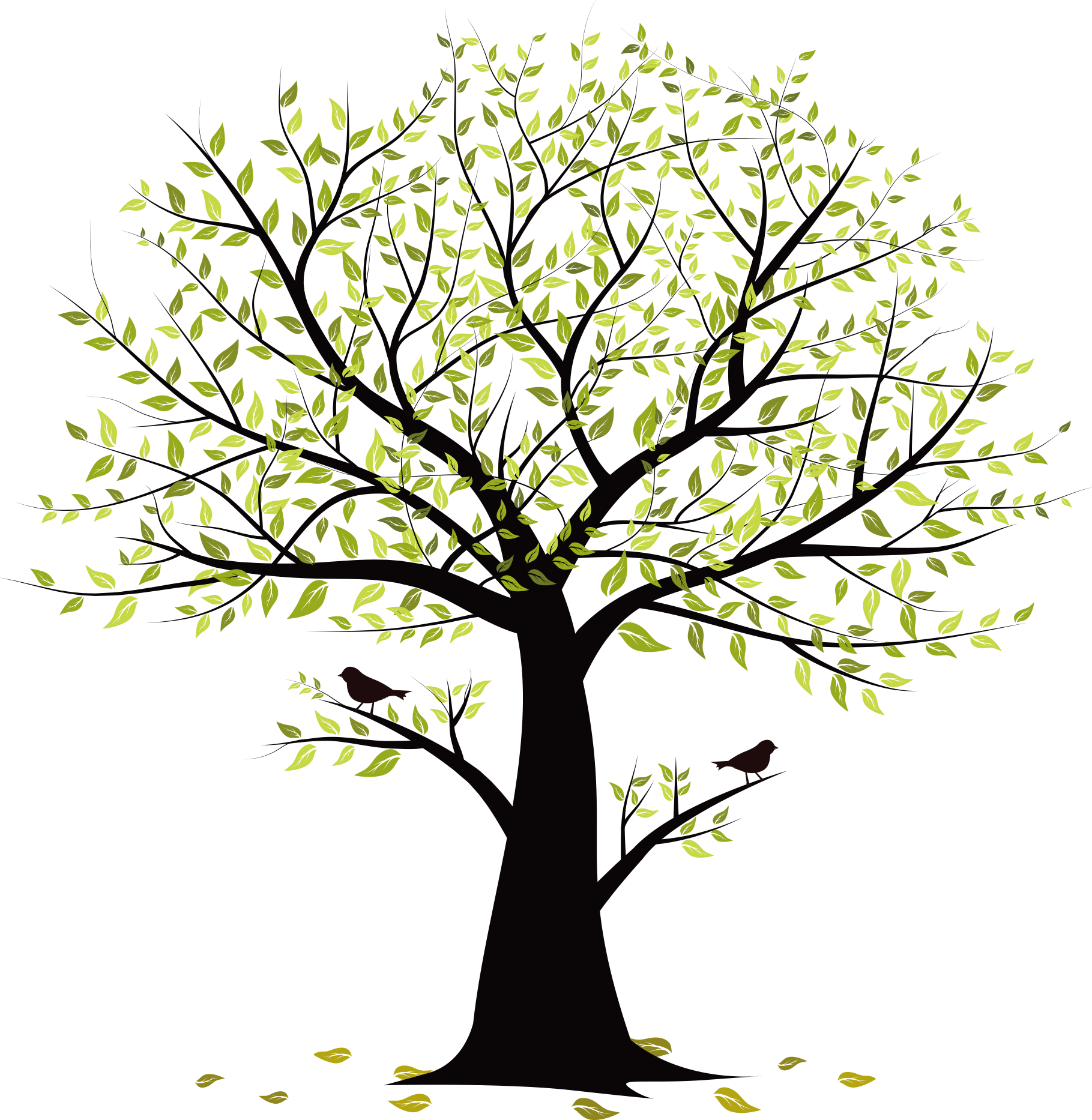Rama De Árbol De Aves - Tree (1819x1866)
