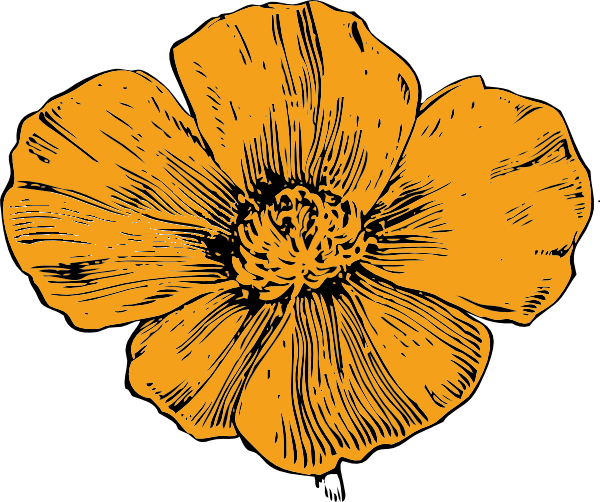 California Poppy Clip Art At Clker - California Poppy Flower Drawing (600x502)