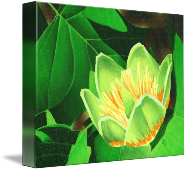 Floral Design (650x592)