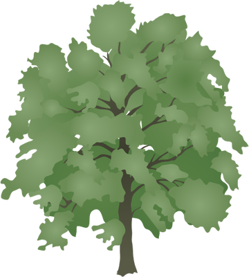 Ian Symbol Liriodendron Tulipifera - Standing Together Throw Blanket (360x400)