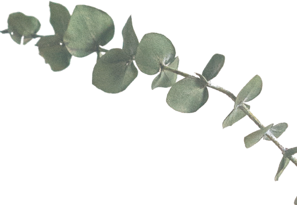 Saiba Mais - Inhaler (588x406)