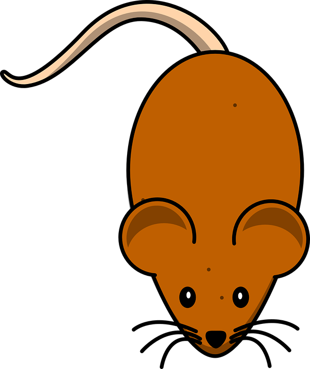 Cheese Cartoon Cliparts 29, Buy Clip Art - Mouse Clip Art (605x720)