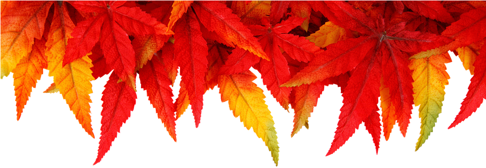 Fall Leaves Cartoon 7, Buy Clip Art - Thank You Dear Sister (960x640)