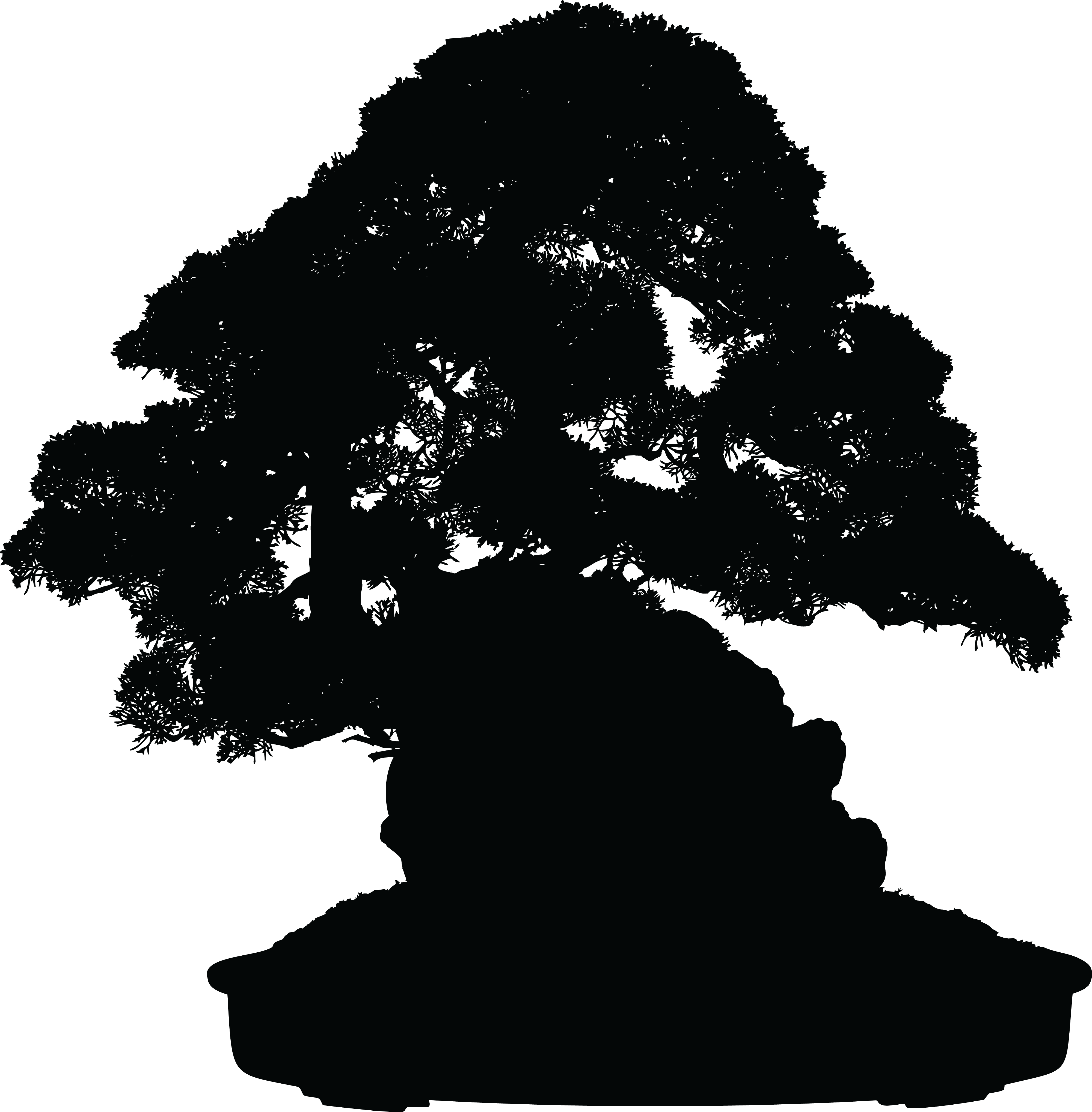 Free Clipart Of A Silhouetted Bonsai Plant - Free Bonsai Tree Silhouette Png (4000x4075)
