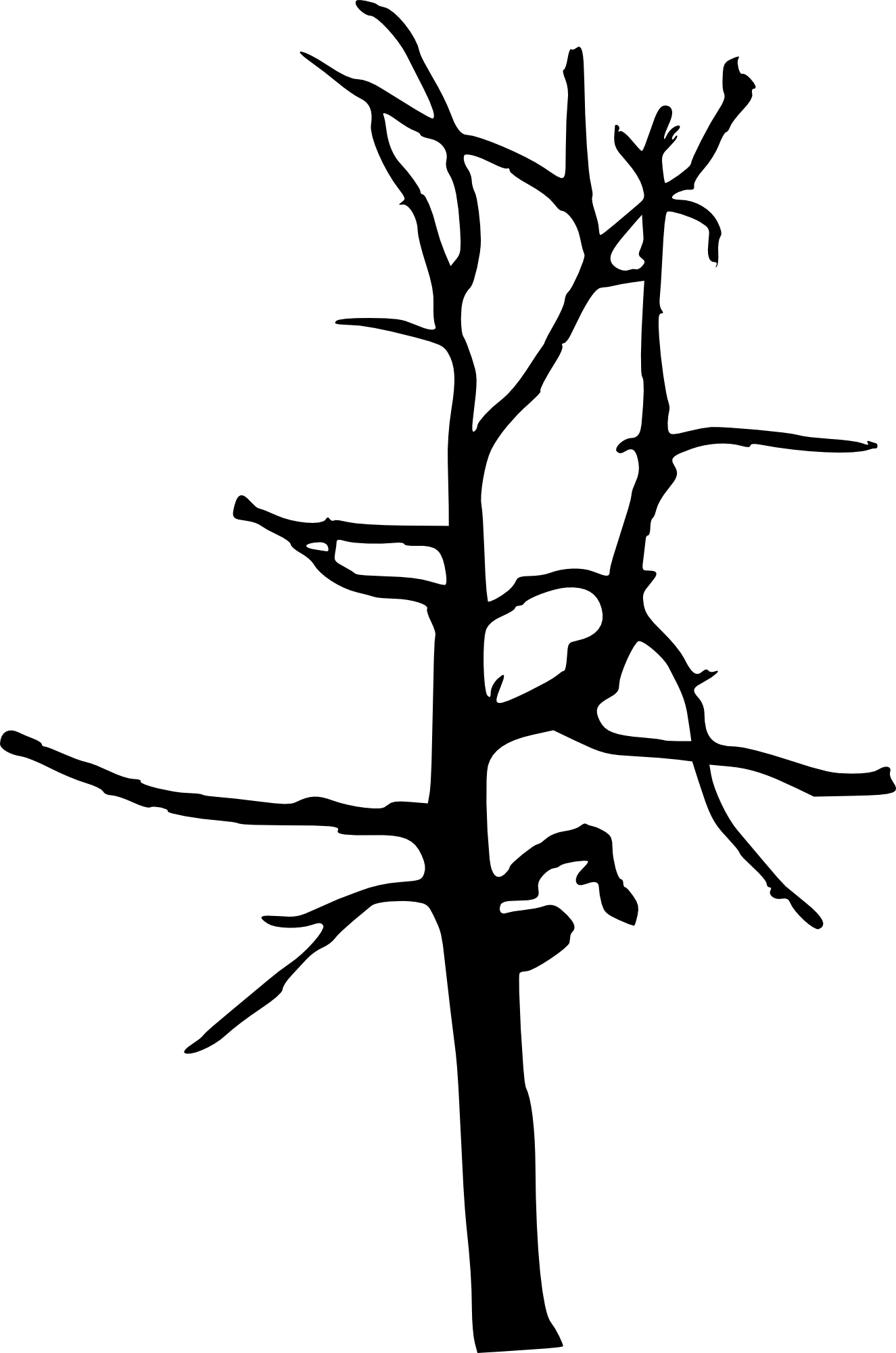 Free Download - Bare Twig Transparency (1325x2000)