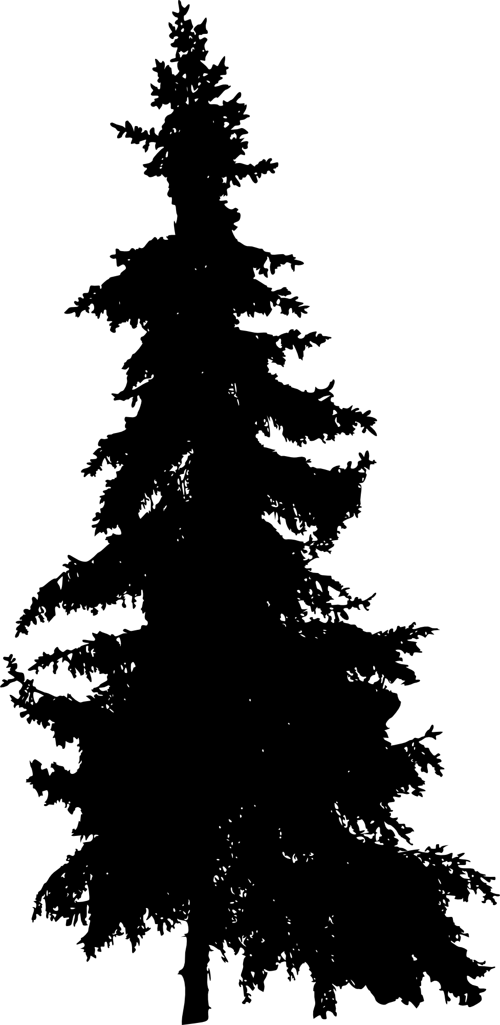 Free Download - Pine Tree Silhouette Png (977x2000)