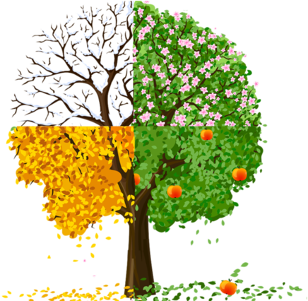 Quatro Estacoes Arbre Des 4 Saisons 600x425 Png Clipart Download