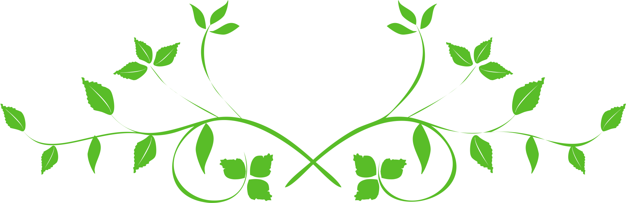 Leaf Swirl Clip Art - Decorative Arts (2105x731)