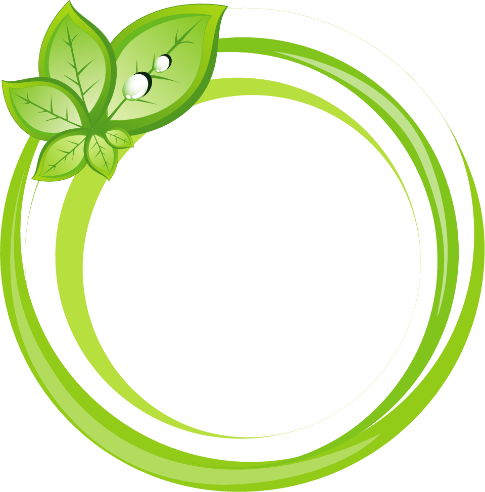 Adobe Illustrator Icon - Circle Png Green Vector (960x974)