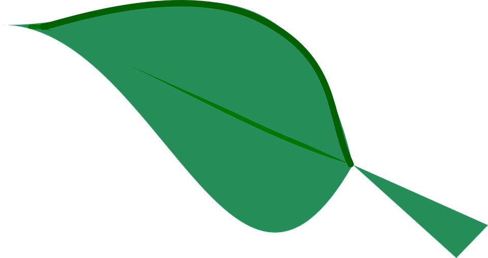 Green Leaf Clipart 12, - Dark Green Leaf Clipart (960x508)