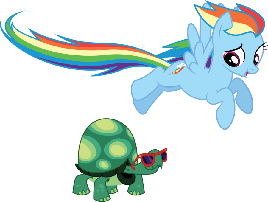 New Pets My Little Pony Friendship Is Magic Know Your - My Little Pony Tank (900x678)