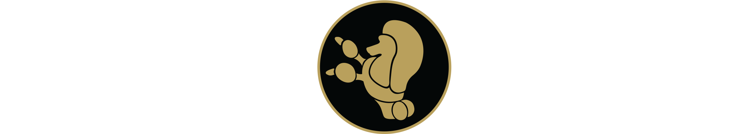 Munaut Poodles Munaut Poodles - Circle (2640x500)