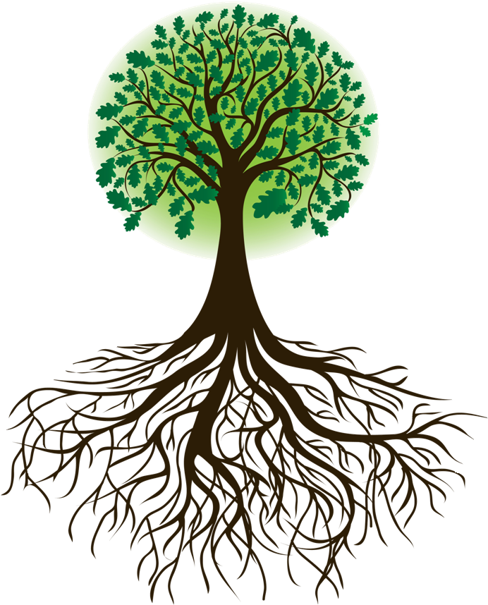 Roots Clipart Cartoon - Tree With Roots Clipart (909x910)