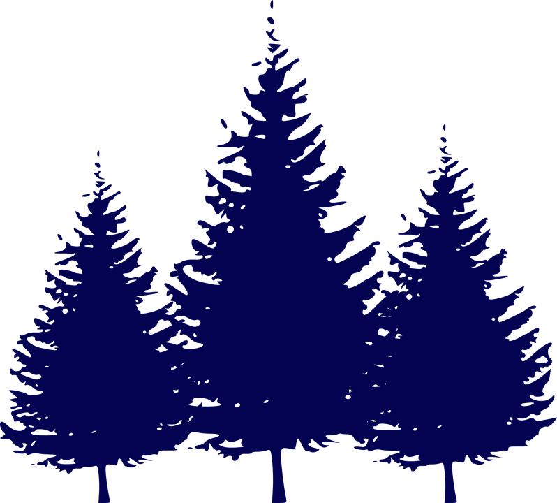 Fir Tree Clipart Three Pine - Evergreen Tree Silhouettes Hd (798x720)