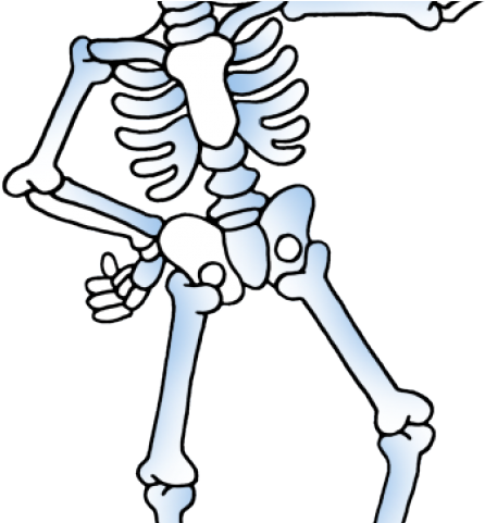 Free Skeleton Cliparts - Skeleton Clipart (640x480)