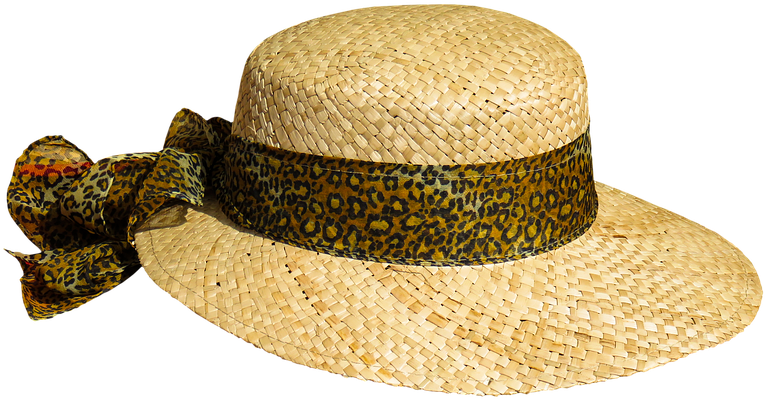 Straw Hat Clipart Summer Hat - Chapeu De Palha Png (960x660)