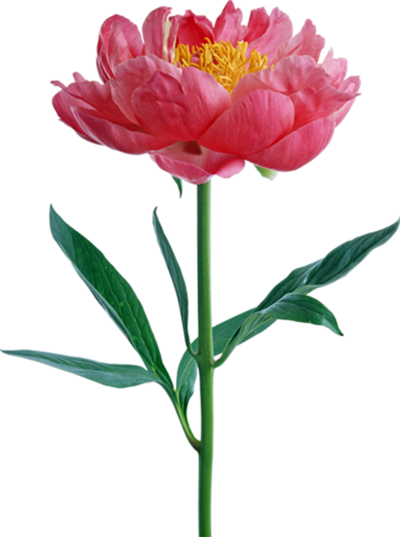 0 141421 59a9c61 L - 移りかわる時代の小さなリポート [書籍] (800x1072)