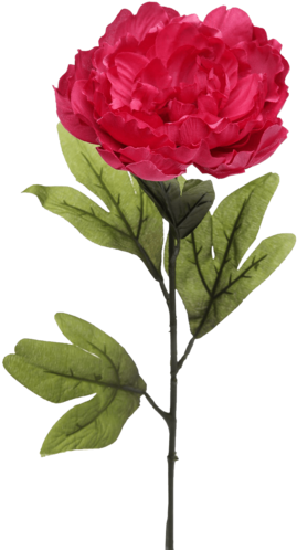 Peony Artificial Flower Stem - Floribunda (340x510)