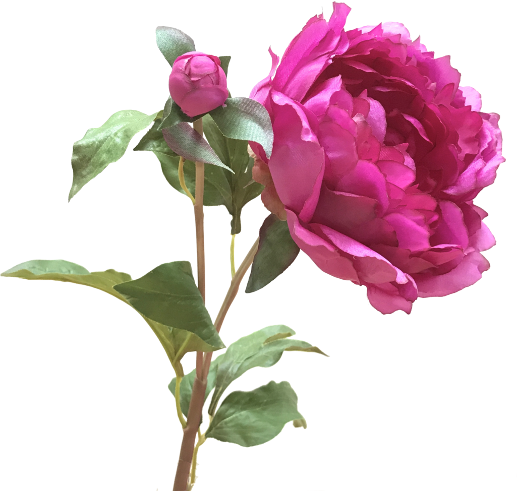 Luxury Realistic Artificial Amp Silk Flowers Peony - Peonies Png (1024x1024)