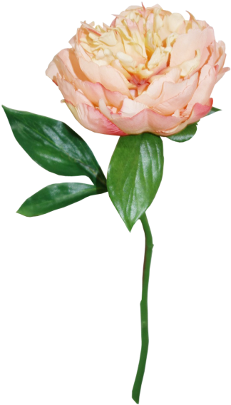 S5841pch Peony Artificial Flower Peach - Artificial Flower (800x600)