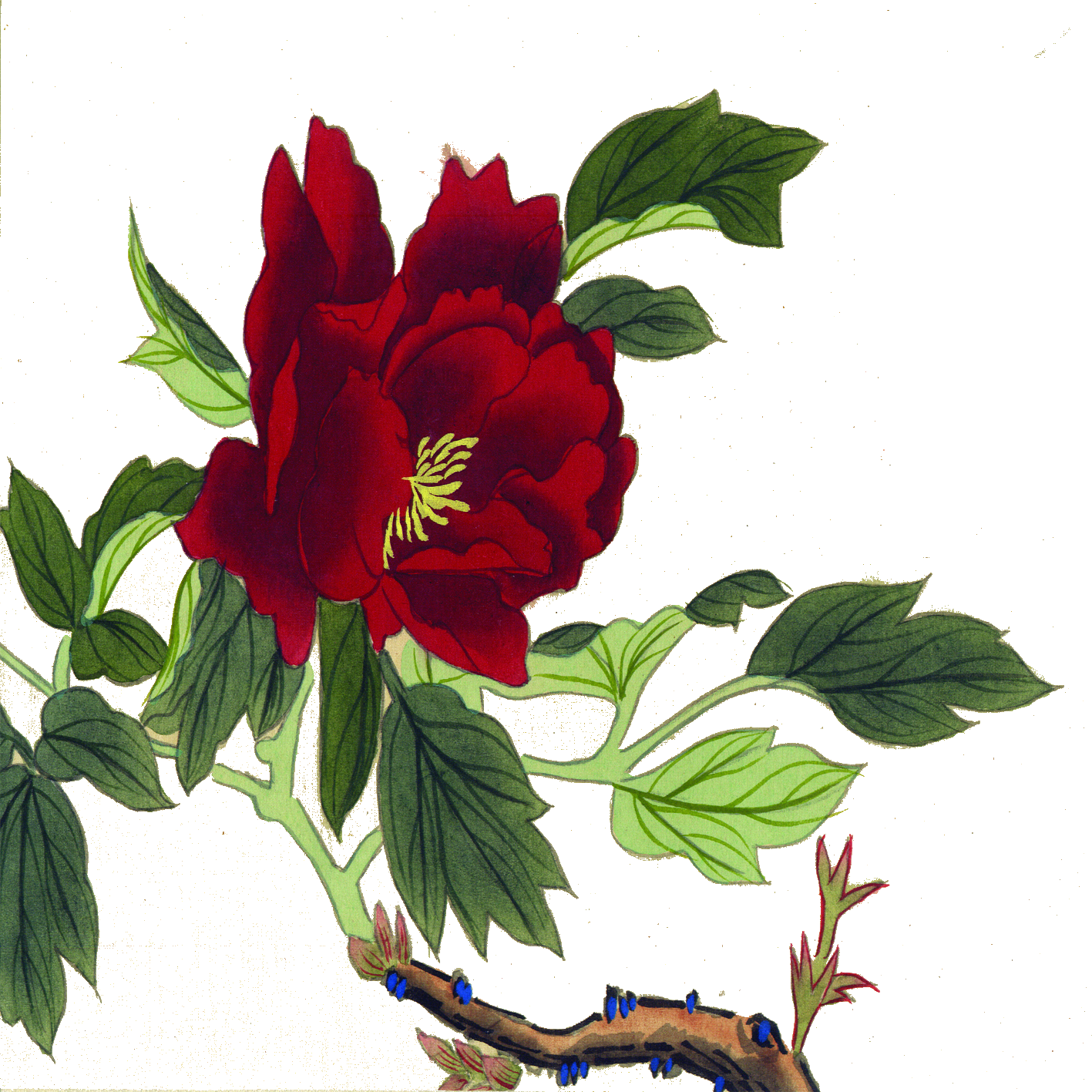 Moutan Peony Chinese Painting Ink Wash Painting Gongbi - Moutan Peony Chinese Painting Ink Wash Painting Gongbi (1417x1417)