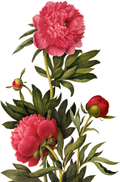 Publicat De Eu Ciresica La - Earrings "small Summer Flowers" Cabochons Red (439x600)