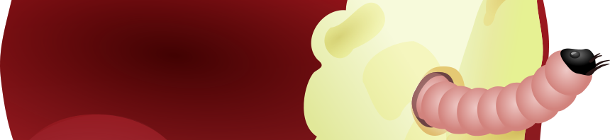 Apple Worm - Apple With Worm (860x198)