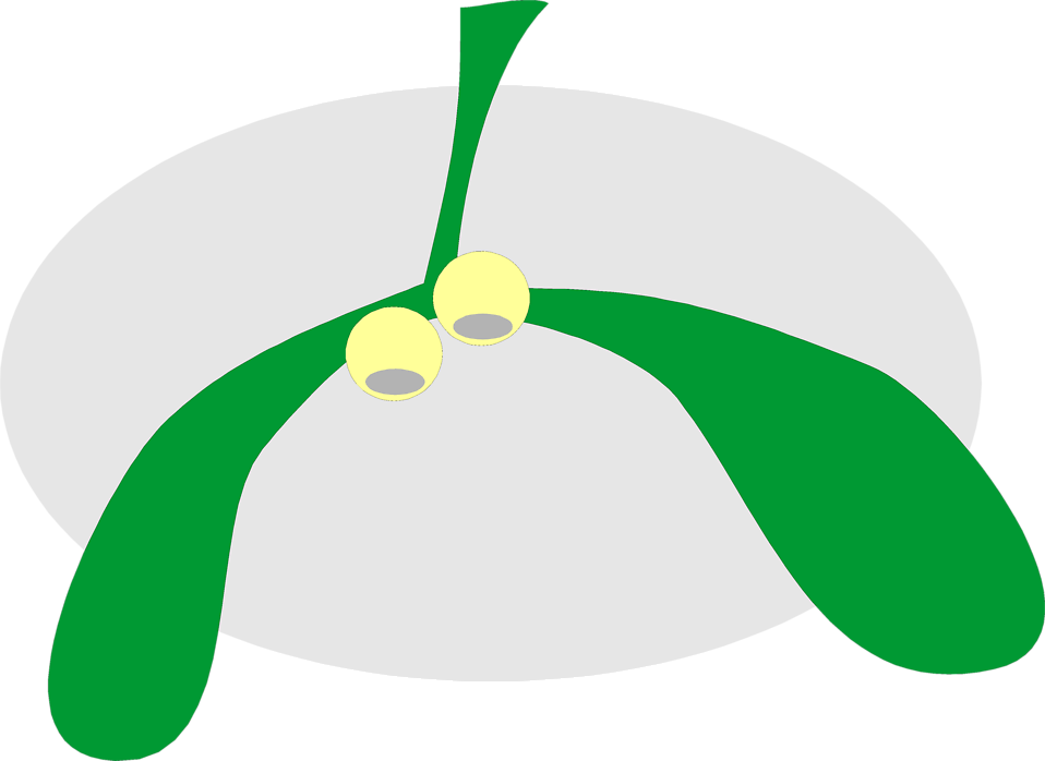 Illustration Of Mistletoe - Walmart (958x698)