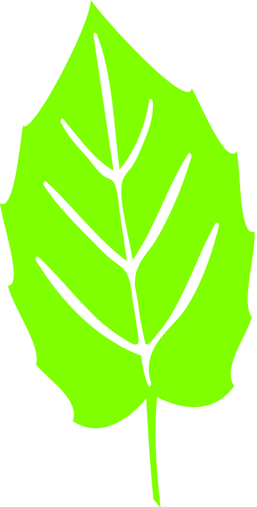 Leaf Icon - Scalable Vector Graphics (519x1024)