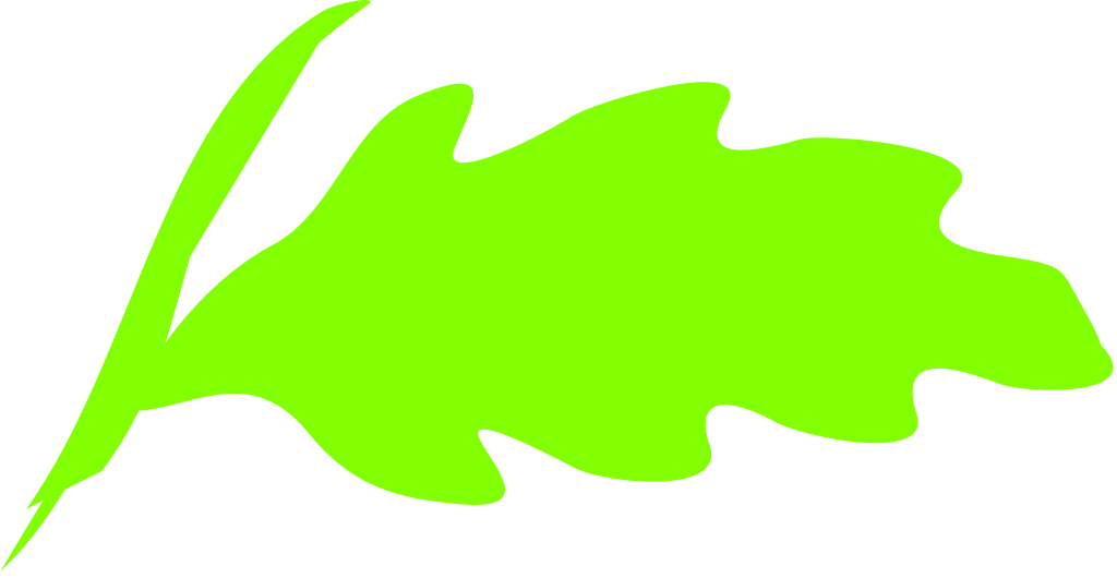 Leaf Icon - Wikimedia Commons (1024x530)