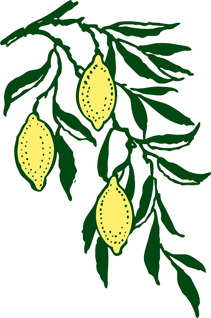 Yellow, Leaf, Tree, Cartoon, Branch, Free, Lemon - Lemon Branch Clip Art (425x640)