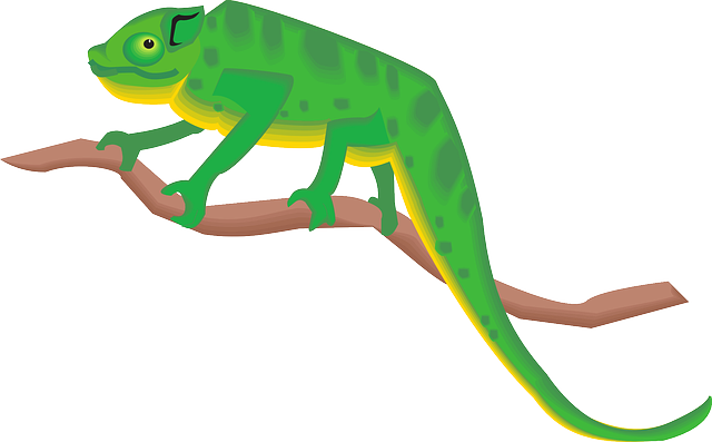 Green, Cartoon, Branch, Art, Standing, Chameleon - Chameleon Clipart Png (640x397)