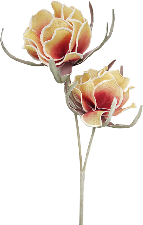 Coral Foam Peony Stem - Coral (475x749)