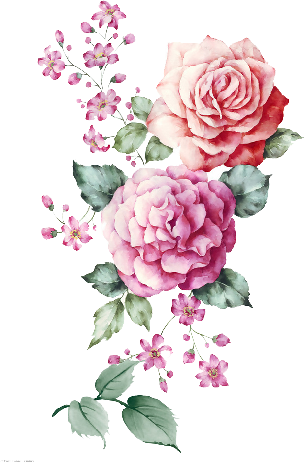 Butterfly Watercolor Painting Illustration - Water Color Hd Flowers (1000x1000)