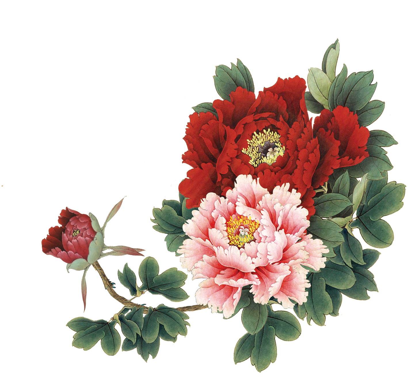 Moutan Peony Download - Daycraft A5 Flower Wow Lined Notebook - White (1417x1417)
