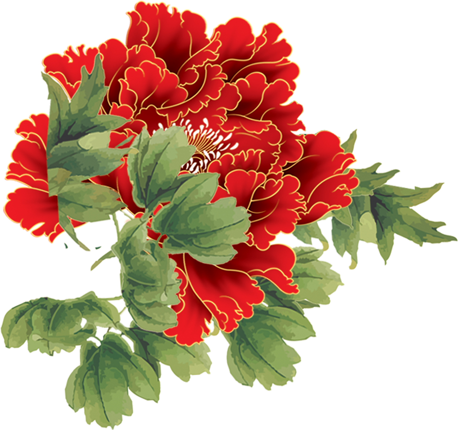 Red Peony Photos - Red Peony Photos (2480x2325)