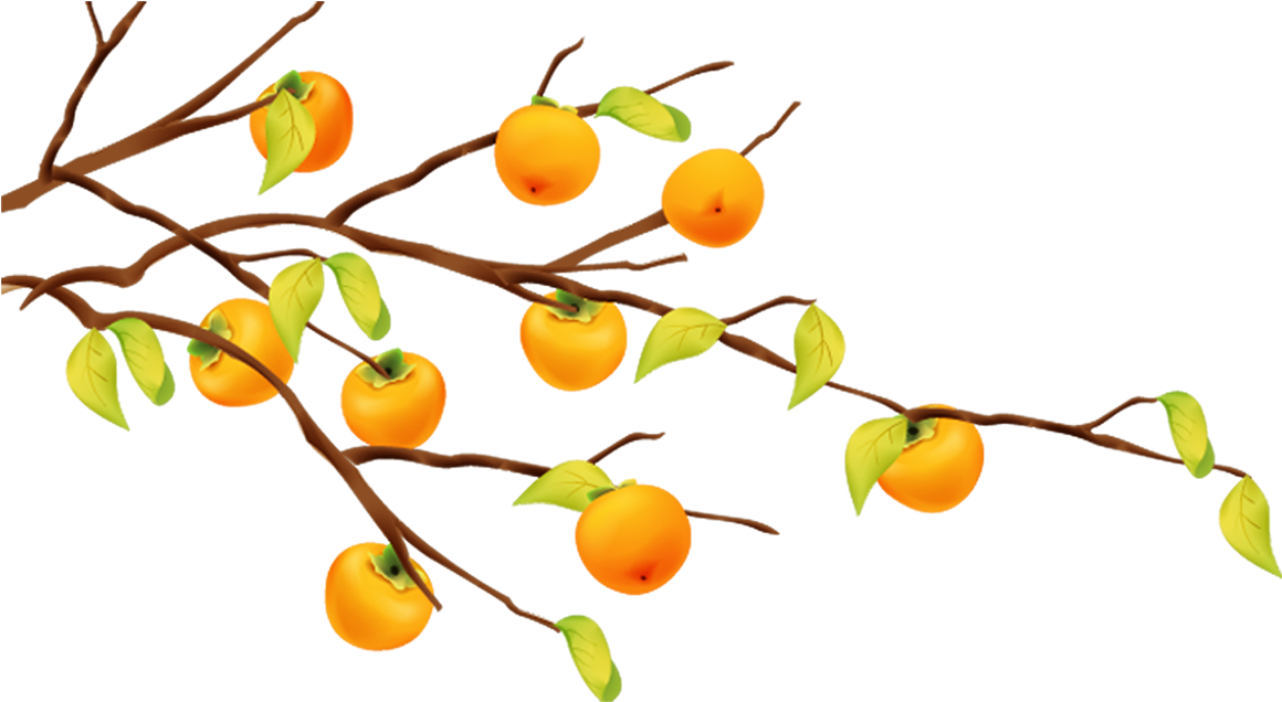 Cartoon Fruit Tree Tangerine - Orange Tree Cartoon (1800x1648)