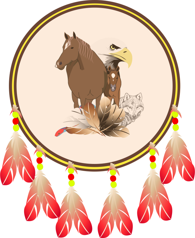 Get Notified Of Exclusive Freebies - Native American Shield Png (656x800)