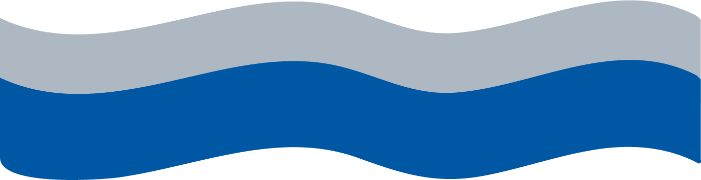 History - History (1380x355)