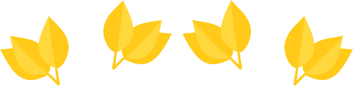 Students Study The Spanish Language In The U - Students Study The Spanish Language In The U (1215x299)